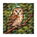 PatternPly® Transparent Birds Series Volume 2 Perched Owls 24 art scene artwork