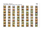 PatternPly® Transparent Birds Series Volume 3 Chickens and Roosters Teeny Sampler: sampler sheet of small art scene designs