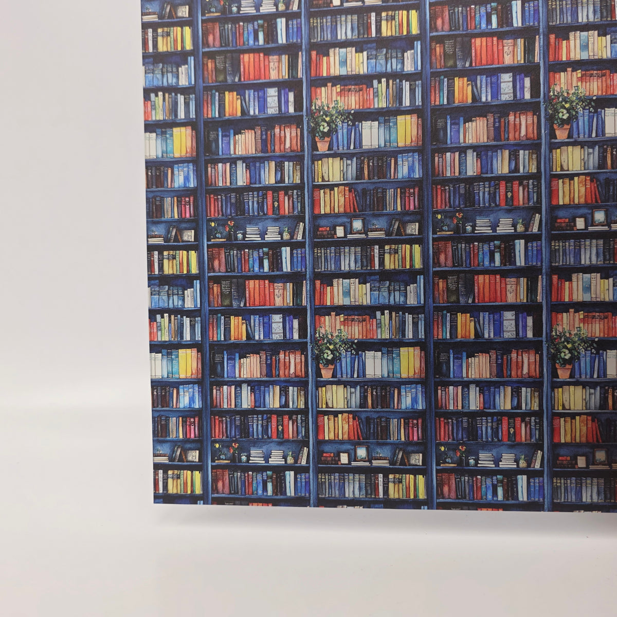 PatternPly® Transparent Bookshelves and House Plants product photo 3