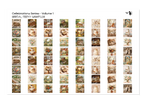 PatternPly® Full Coverage Bridal Volume 1 Teeny Sampler: sampler sheet of small art scene designs