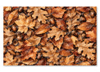 PatternPly® Full Coverage Brown Leaves and Acorns product photo 2