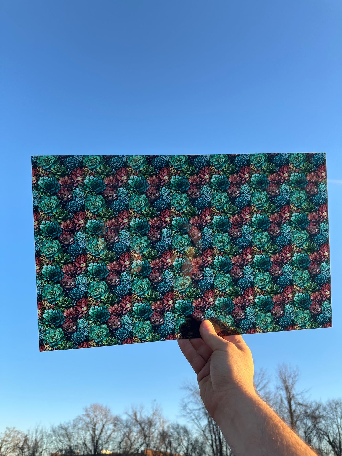 PatternPly® Acrylic Transparent Succulent Stained Glass