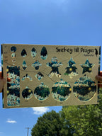 PatternPly® Transparent Town of Bethlehem product photo 2