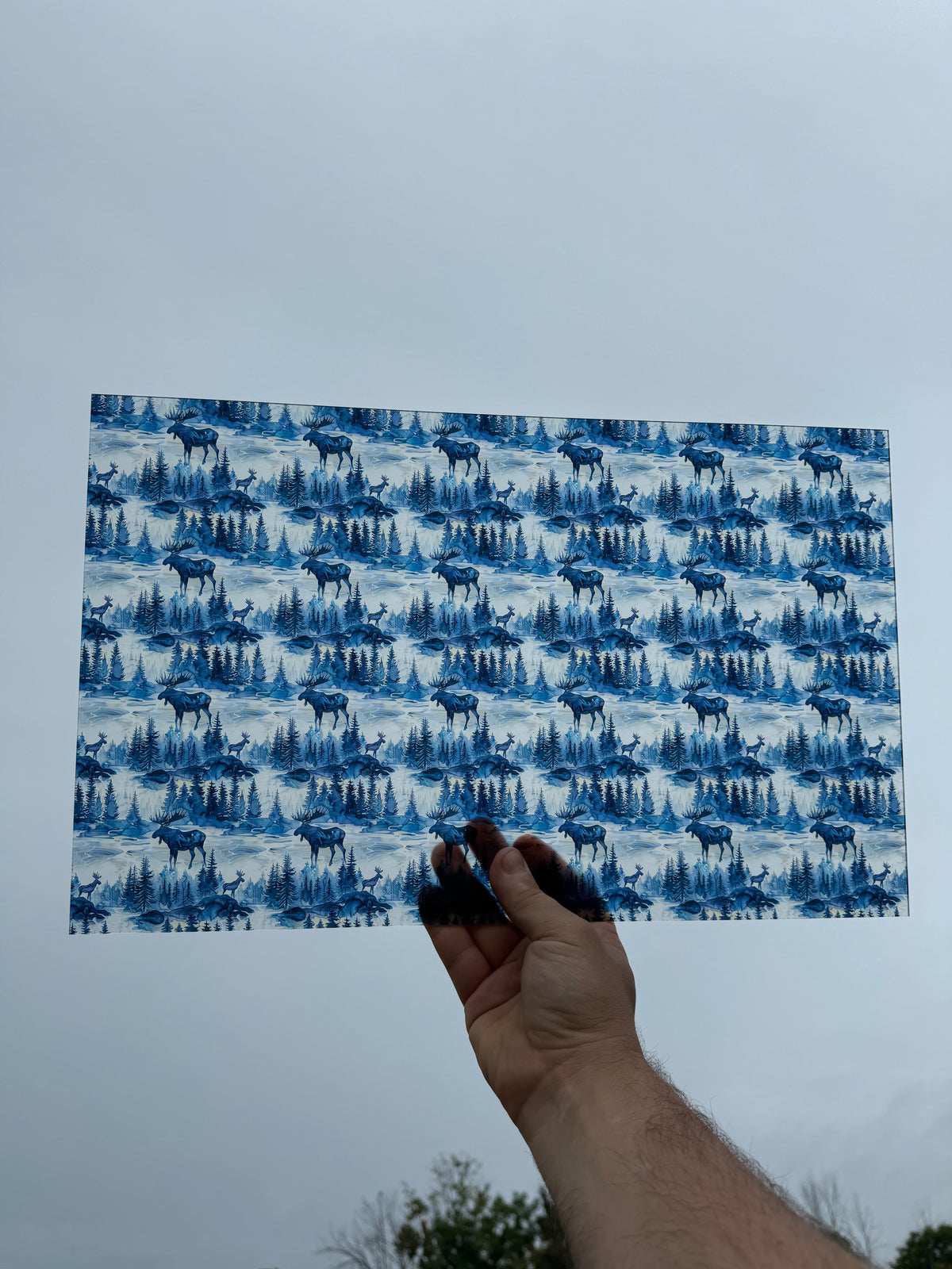 PatternPly® Transparent Blue Moose sheet showing the pattern