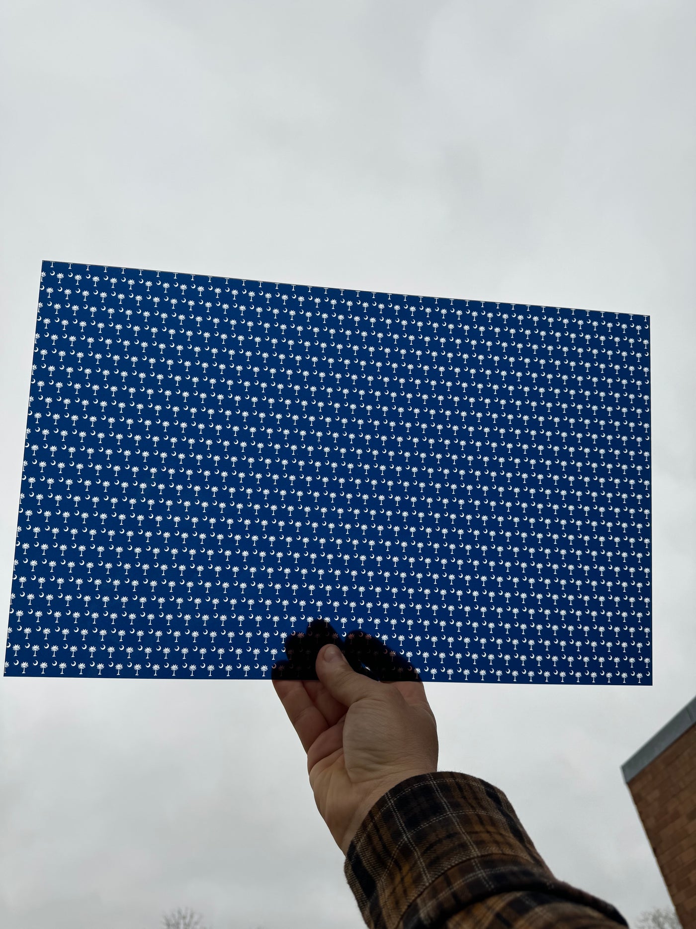 PatternPly® Acrylic Transparent Mini South Carolina Flag