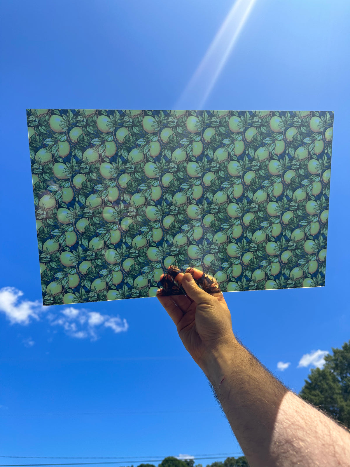 PatternPly® Transparent Realistic Lemons sheet showing the pattern