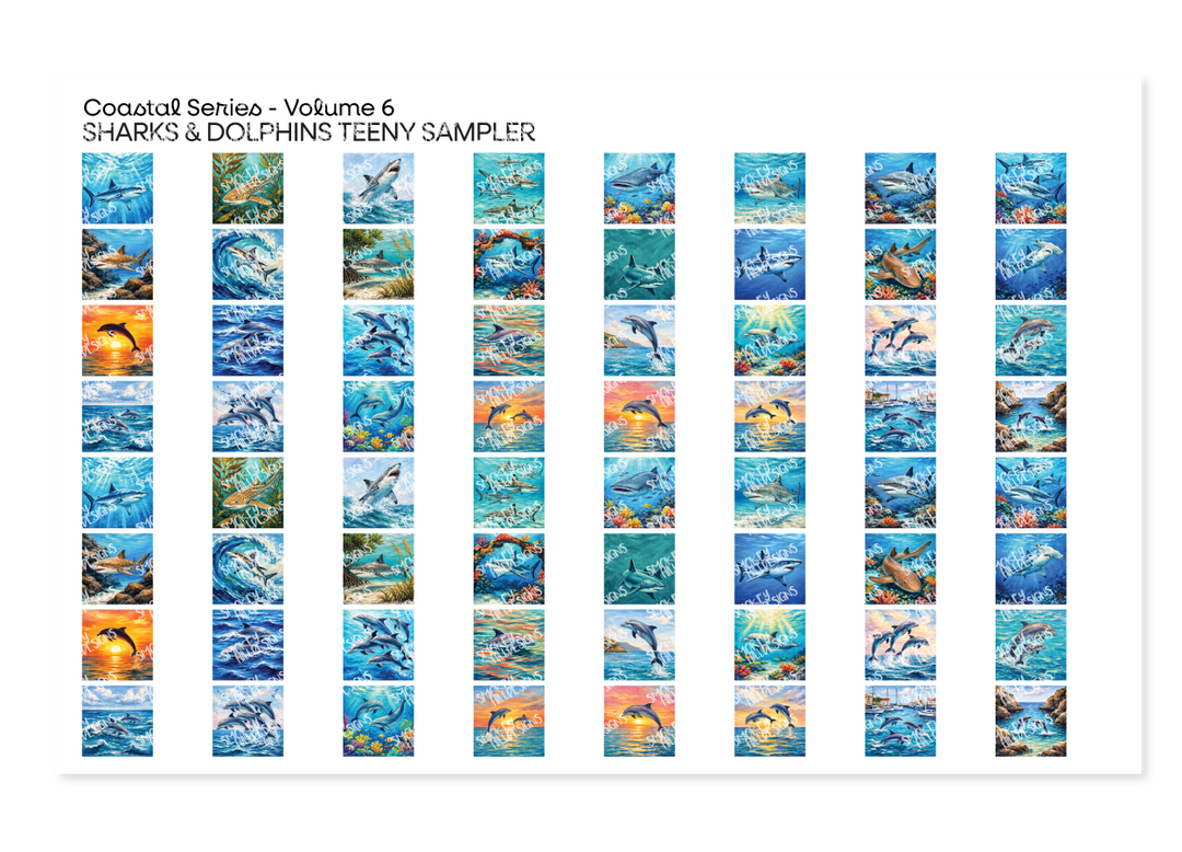 PatternPly® Full Coverage Coastal Series Volume 6 Sharks and Dolphins Teeny Sampler Teeny Sampler