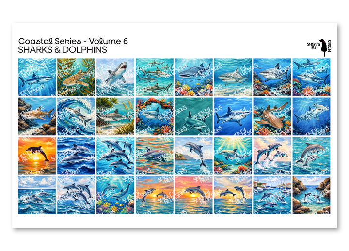 PatternPly® Transparent Coastal Volume 6 Sharks & Dolphins Sampler