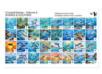PatternPly® Full Coverage Coastal Volume 6 Sharks & Dolphins Sampler product photo 3