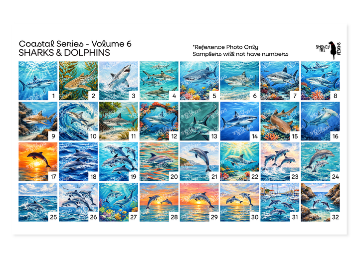 PatternPly® Transparent Coastal Volume 6 Sharks & Dolphins Sampler