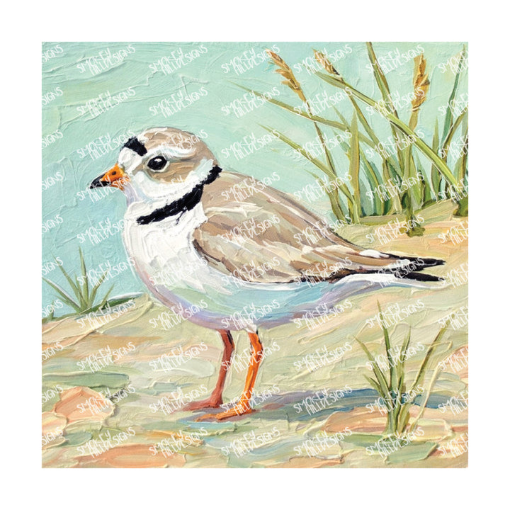 PatternPly® Full Coverage Coastal Series Volume 4 Coastal Pastels 2