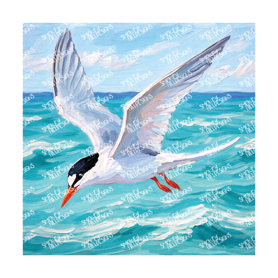 PatternPly® Full Coverage Coastal Series Volume 4 Coastal Pastels 3