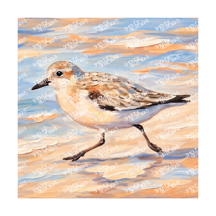 PatternPly® Full Coverage Coastal Series Volume 4 Coastal Pastels 5