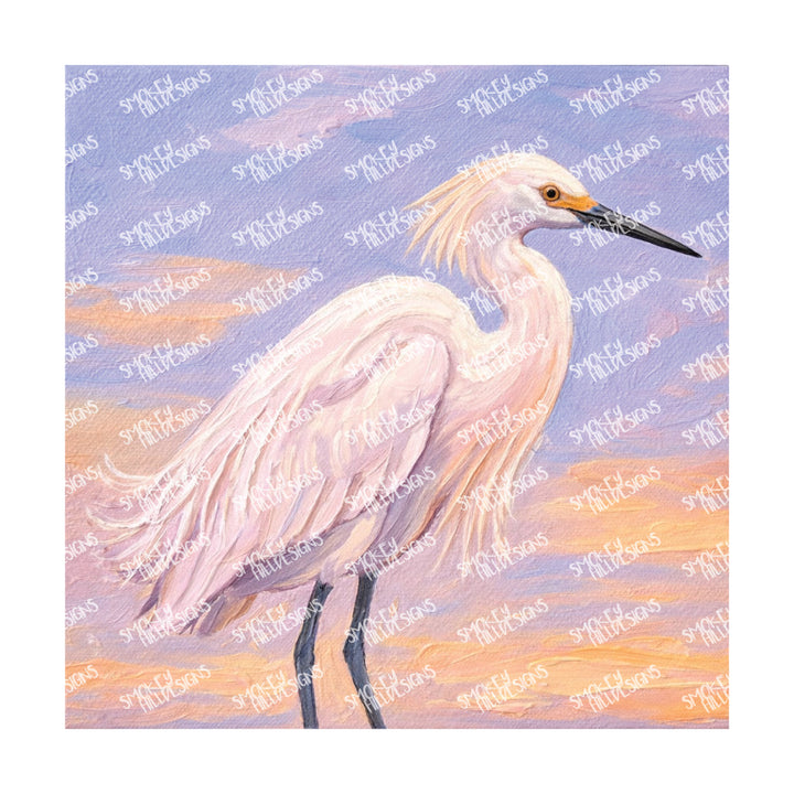 PatternPly® Transparent Coastal Series Volume 4 Coastal Pastels 6