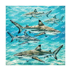 PatternPly® Full Coverage Coastal Series Volume 6 Sharks & Dolphins 4