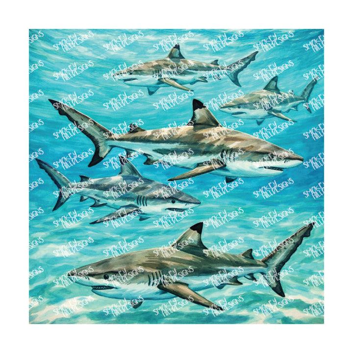 PatternPly® Transparent Coastal Series Volume 6 Sharks & Dolphins 4