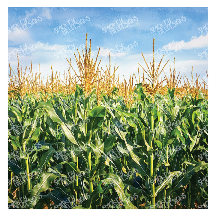 PatternPly® Full Coverage Cornfield