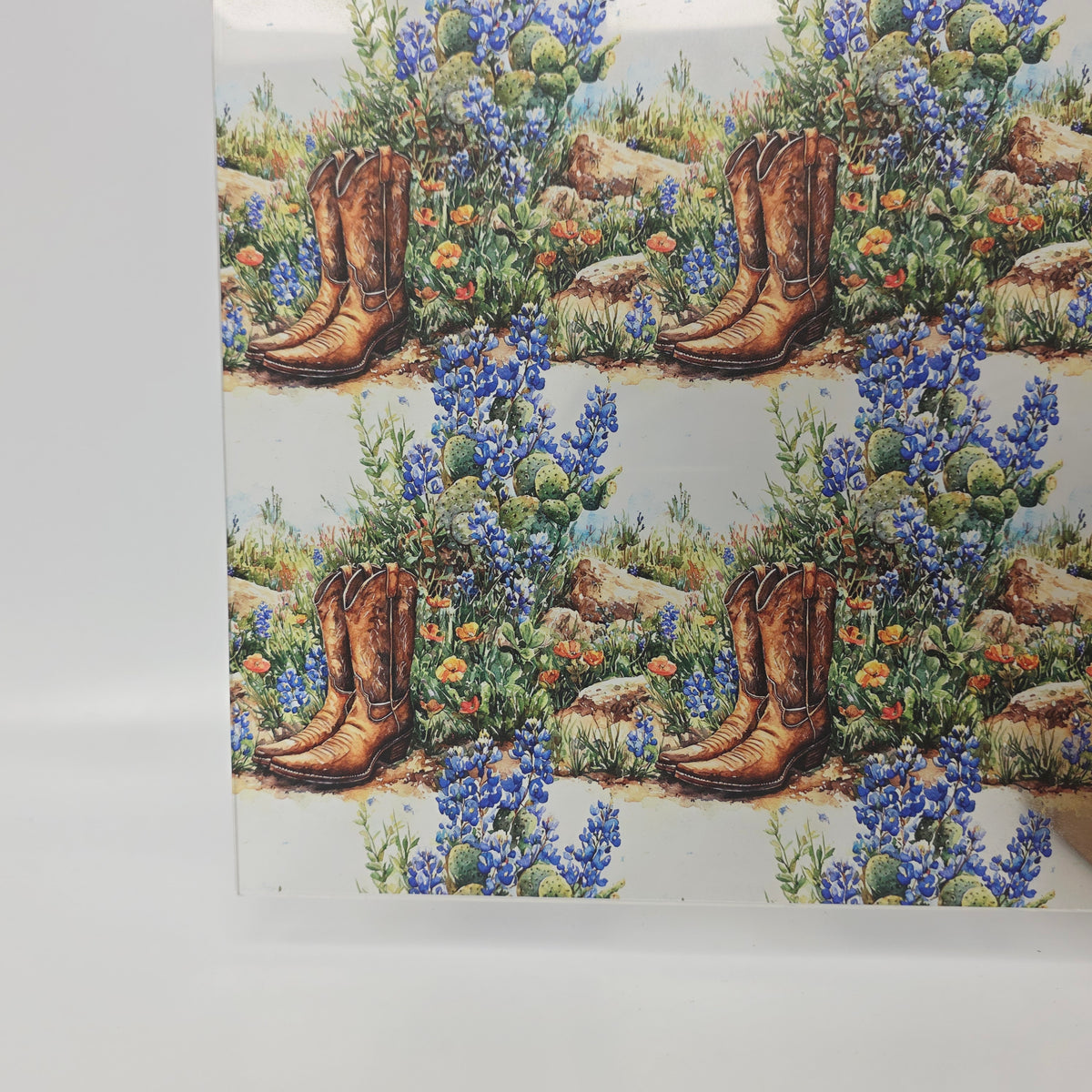 PatternPly® Transparent Cowboy Boots and Rocks product photo 3