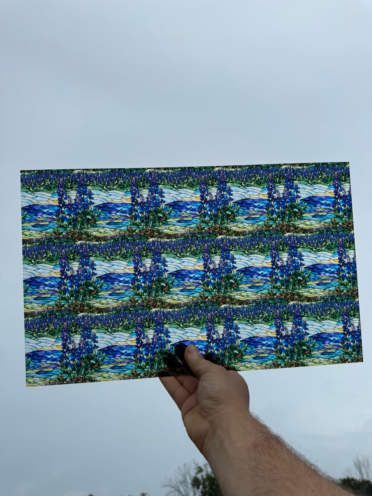 PatternPly® Transparent Stained Glass Bluebonnet Sky product photo 2