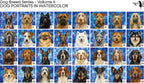 PatternPly® Full Coverage Dog Breed Series Volume 5 Dog Portraits in Watercolor Sampler product photo 4