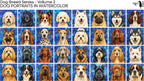 PatternPly® Full Coverage Dog Breed Series Volume 2 Dog Portraits in Watercolor Sampler: sampler sheet of small art…