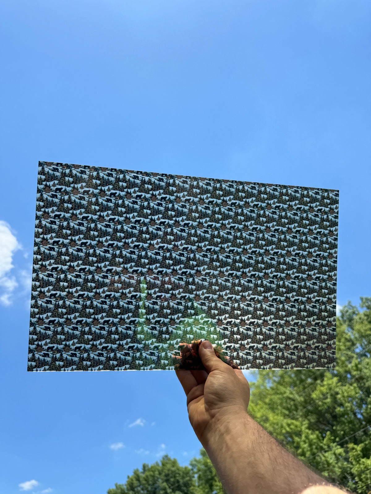 PatternPly® Transparent Micro Winter Cabins sheet showing the pattern