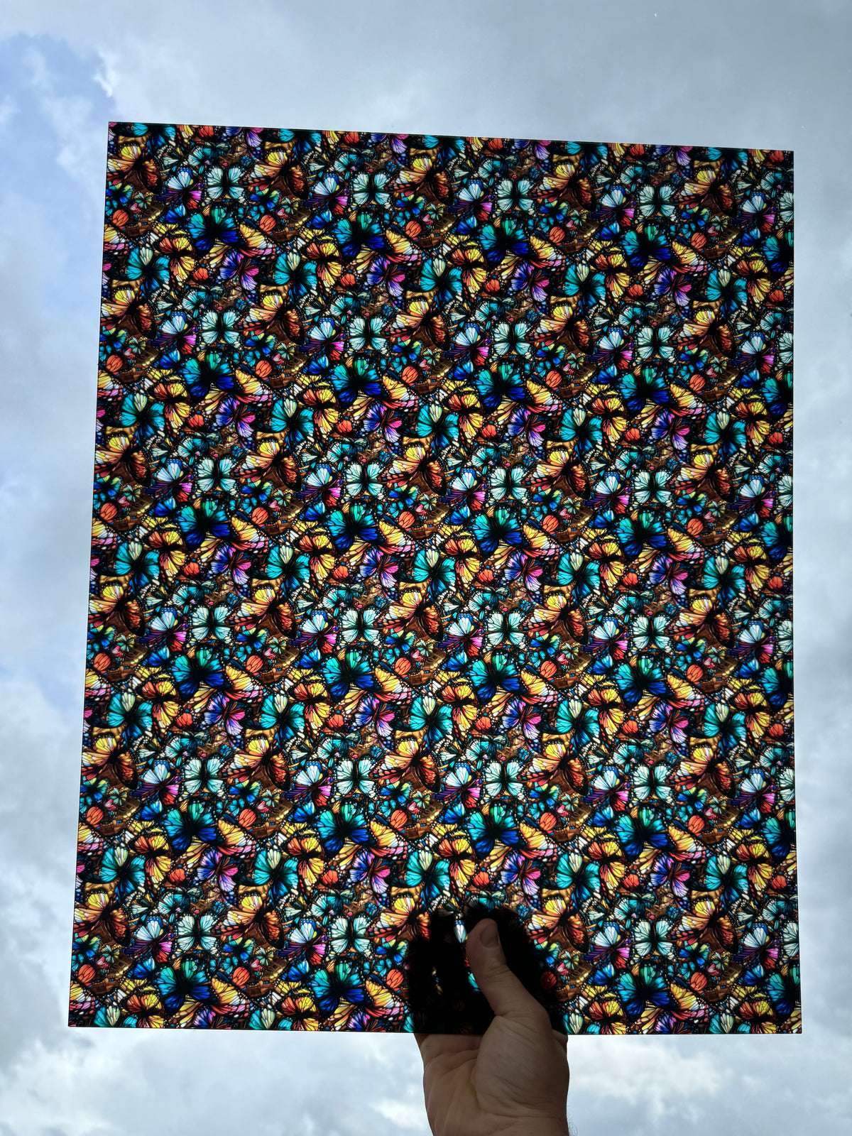 PatternPly® 19x24" Transparent Colorful Butterflies Original Scale sheet showing the pattern