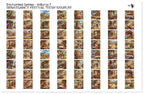PatternPly® Full Coverage Enchanted Series Volume 7 Renaissance Festival Teeny Sampler: sampler sheet of small art scene…