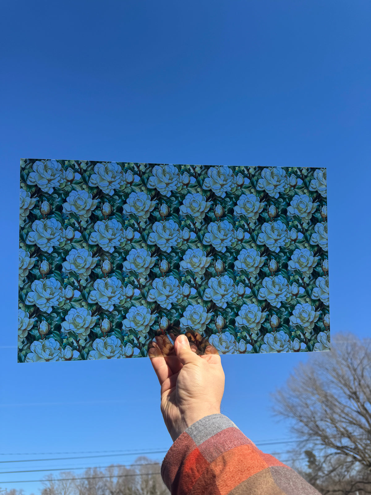 PatternPly® Transparent Stained Glass Gardenias sheet showing the pattern