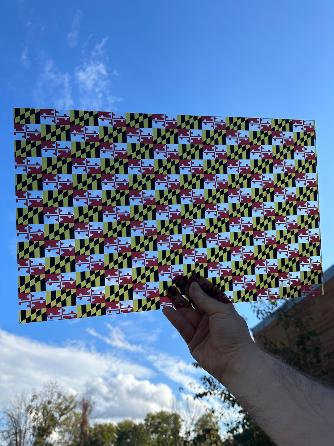 PatternPly® Acrylic Transparent Maryland Flag