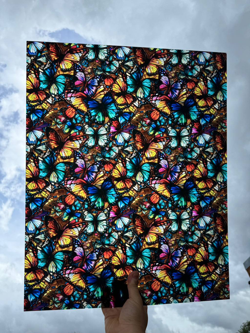 PatternPly® 19x24" Transparent Colorful Butterflies XL Scale sheet showing the pattern