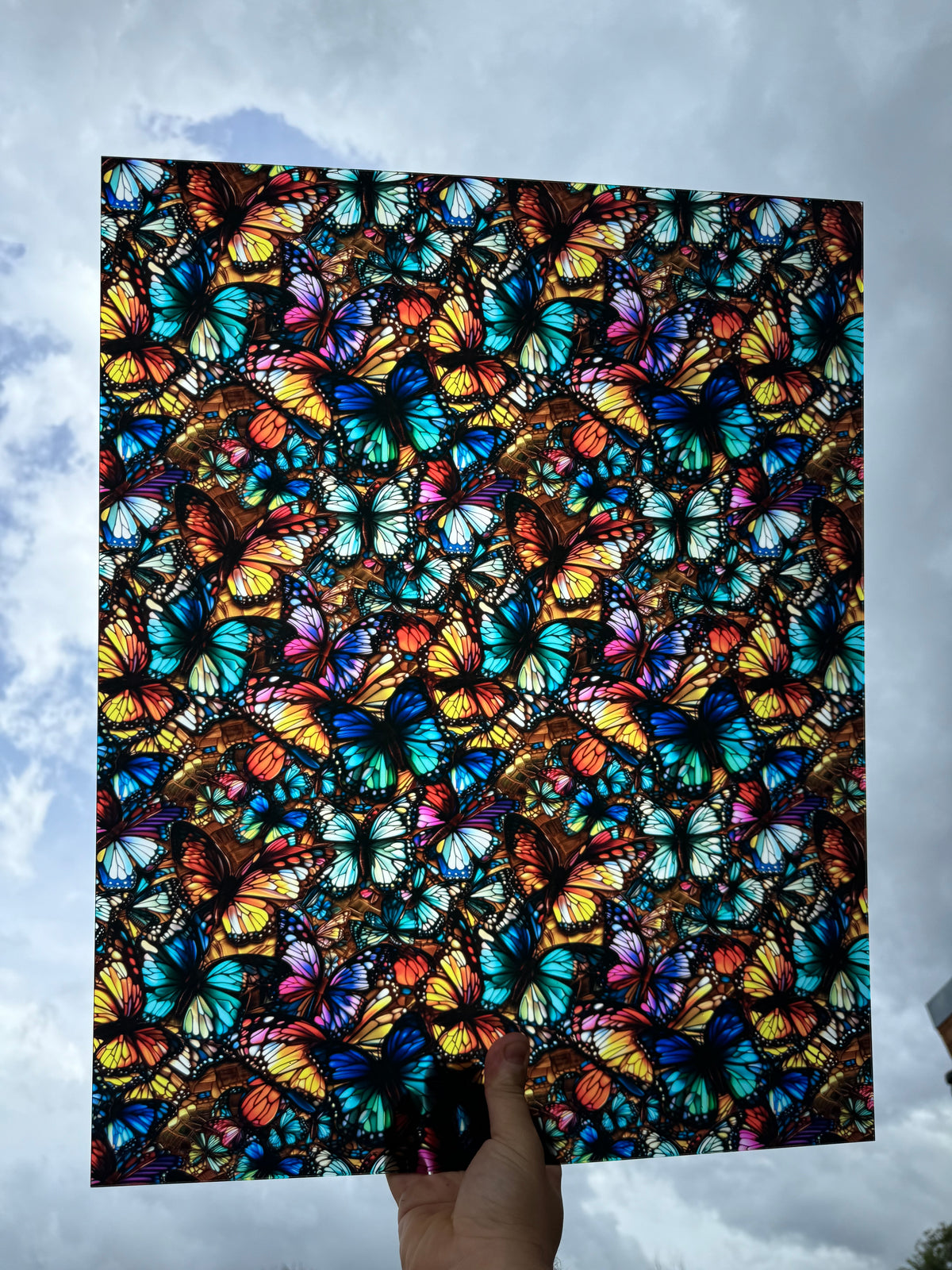 PatternPly® 19x24" Transparent Colorful Butterflies XL Scale sheet showing the pattern