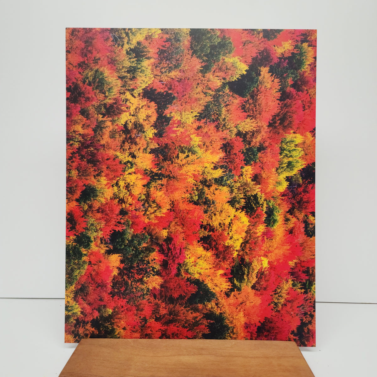 PatternPly® 19x24" Fall Treetops XL Scale sheet showing the pattern