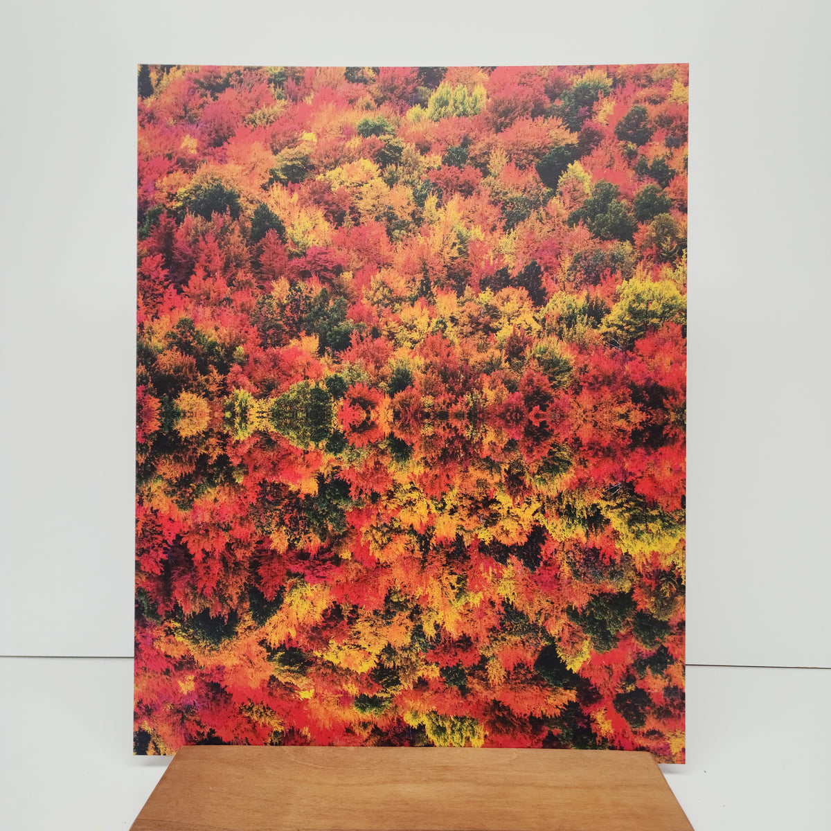 PatternPly® 19x24" Fall Treetops Original Scale sheet showing the pattern
