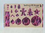 PatternPly® Transparent Feathery Magenta Trees product photo 3