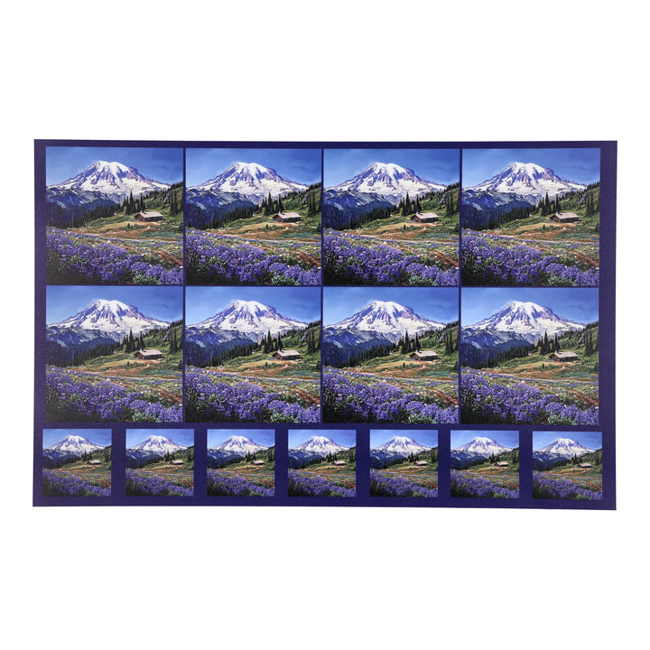 PatternPly® Full Coverage Mount Rainier Two Sizes