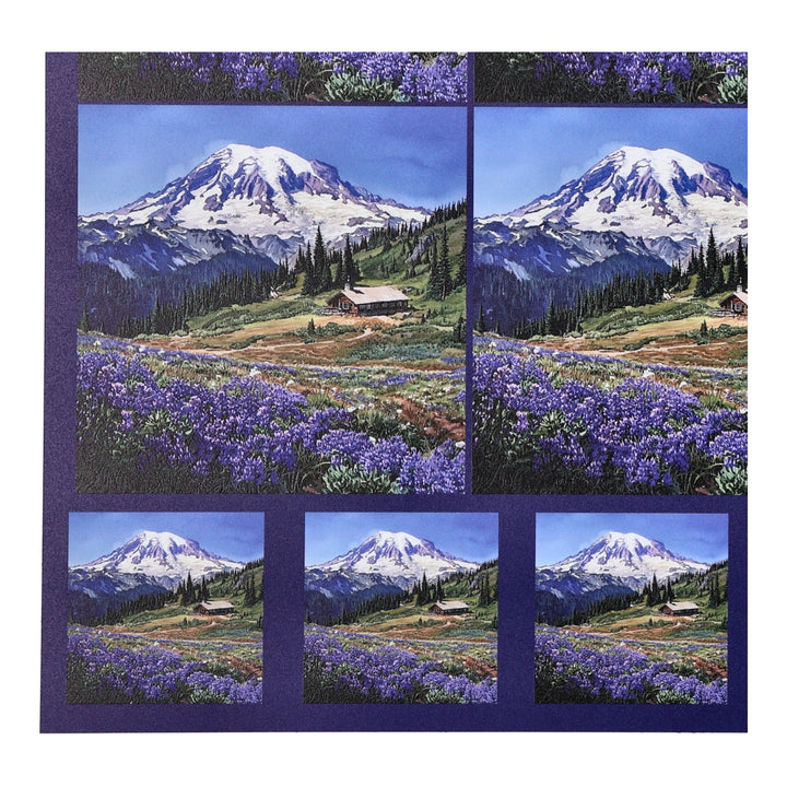 PatternPly® Full Coverage Mount Rainier Two Sizes