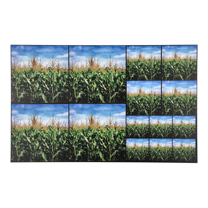 PatternPly® Full Coverage Cornfield Three Sizes