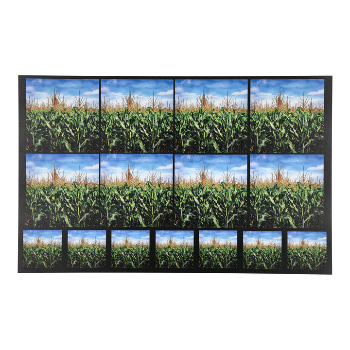 PatternPly® Full Coverage Cornfield Two Sizes