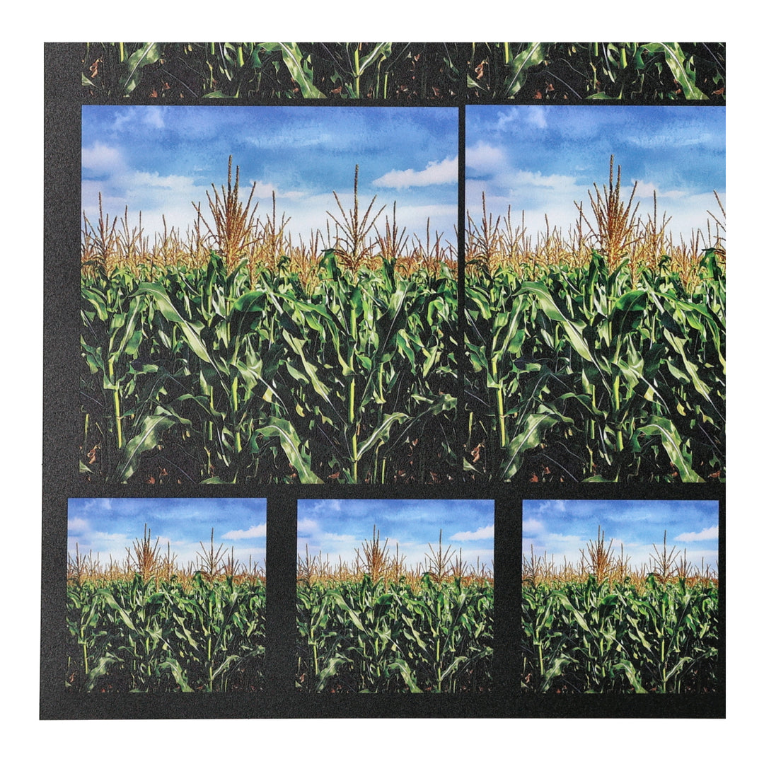 PatternPly® Full Coverage Cornfield Two Sizes