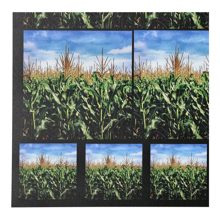 PatternPly® Full Coverage Cornfield Two Sizes