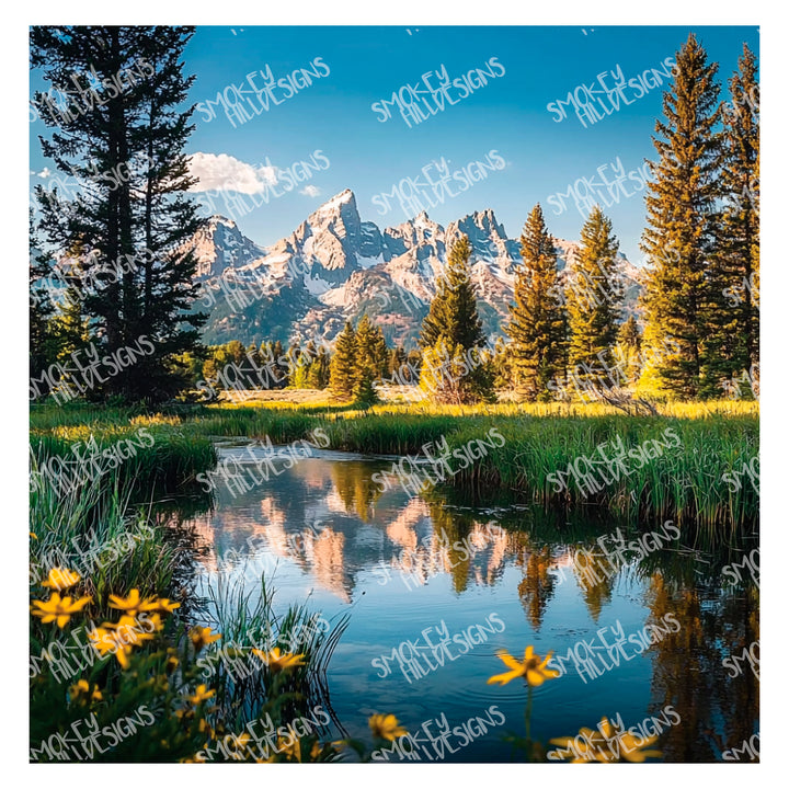 PatternPly® Transparent Grand Teton