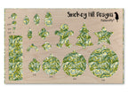 PatternPly® Scattered Green and Gold Swirls product photo 3