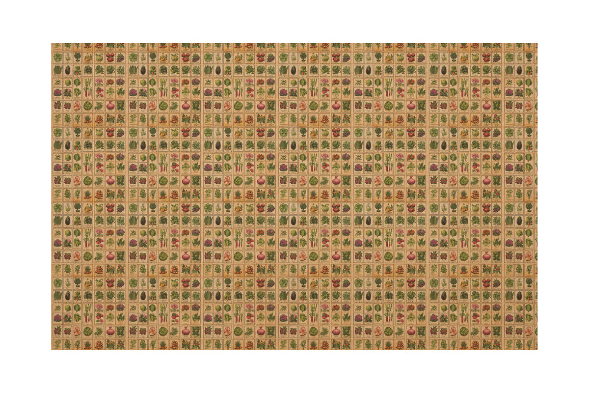PatternPly® Naturals Heirloom Seeds Small product photo 2