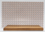 PatternPly® Scattered Show Horses product photo 3