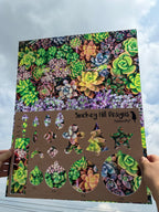 PatternPly® 19x24" Transparent Assorted Succulents Original Scale product photo 2