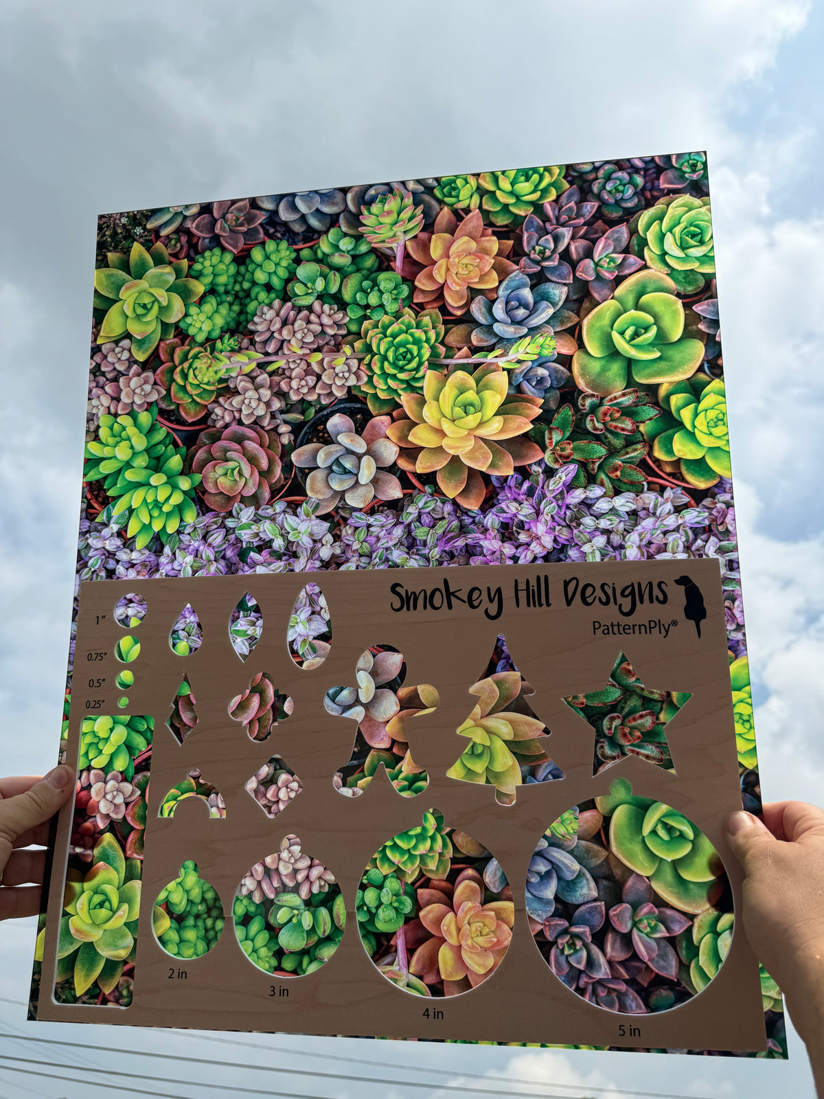 PatternPly® 19x24" Transparent Assorted Succulents Original Scale product photo 2