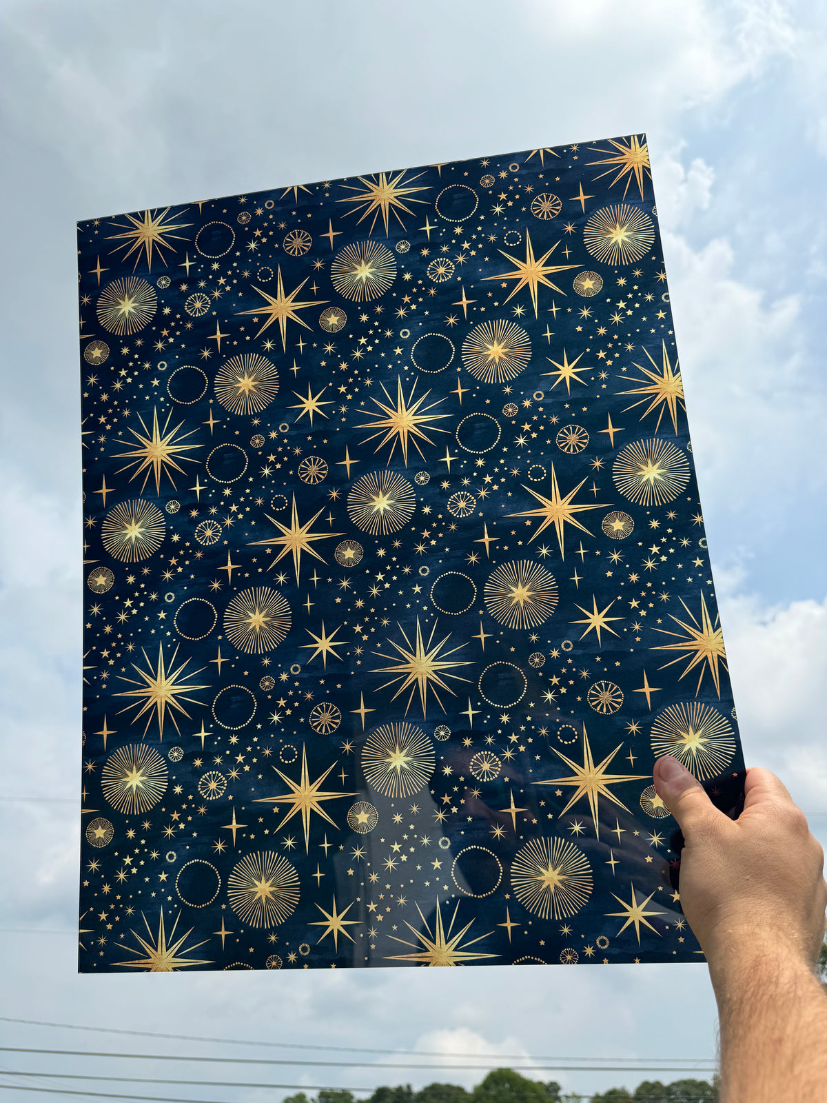 PatternPly® 19x24" Transparent Astrology XL Scale sheet showing the pattern