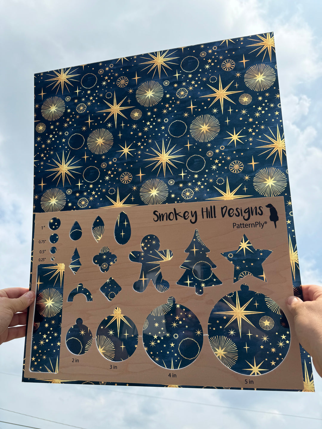 PatternPly® 19x24" Transparent Astrology XL Scale