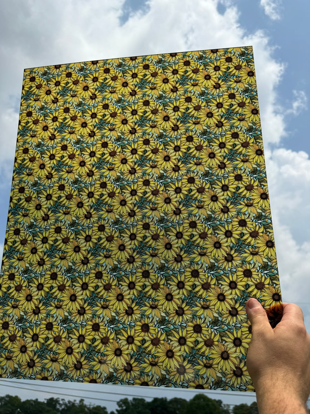 PatternPly® 19x24" Transparent Sunflowers with Sky Original Scale sheet showing the pattern